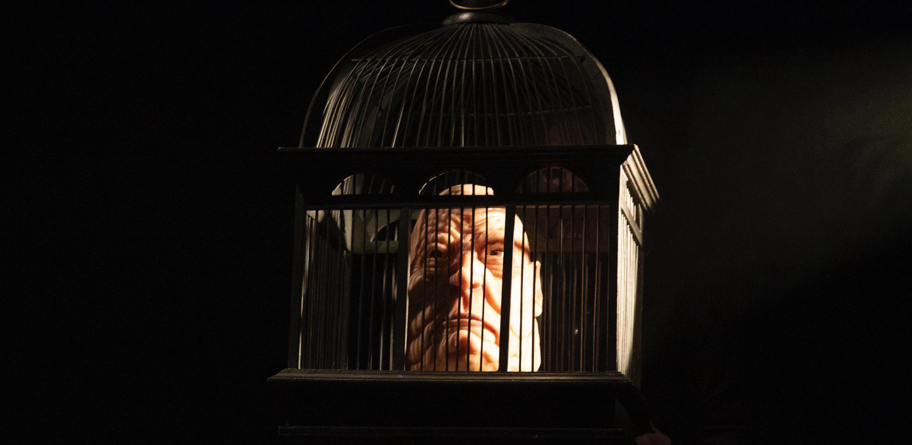 Tête de marionnette du vieux philosophe enfermée dans une cage à oiseaux, dans A comme Animal